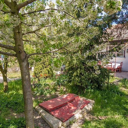 Appartamento Old House Vama Veche Esterno foto