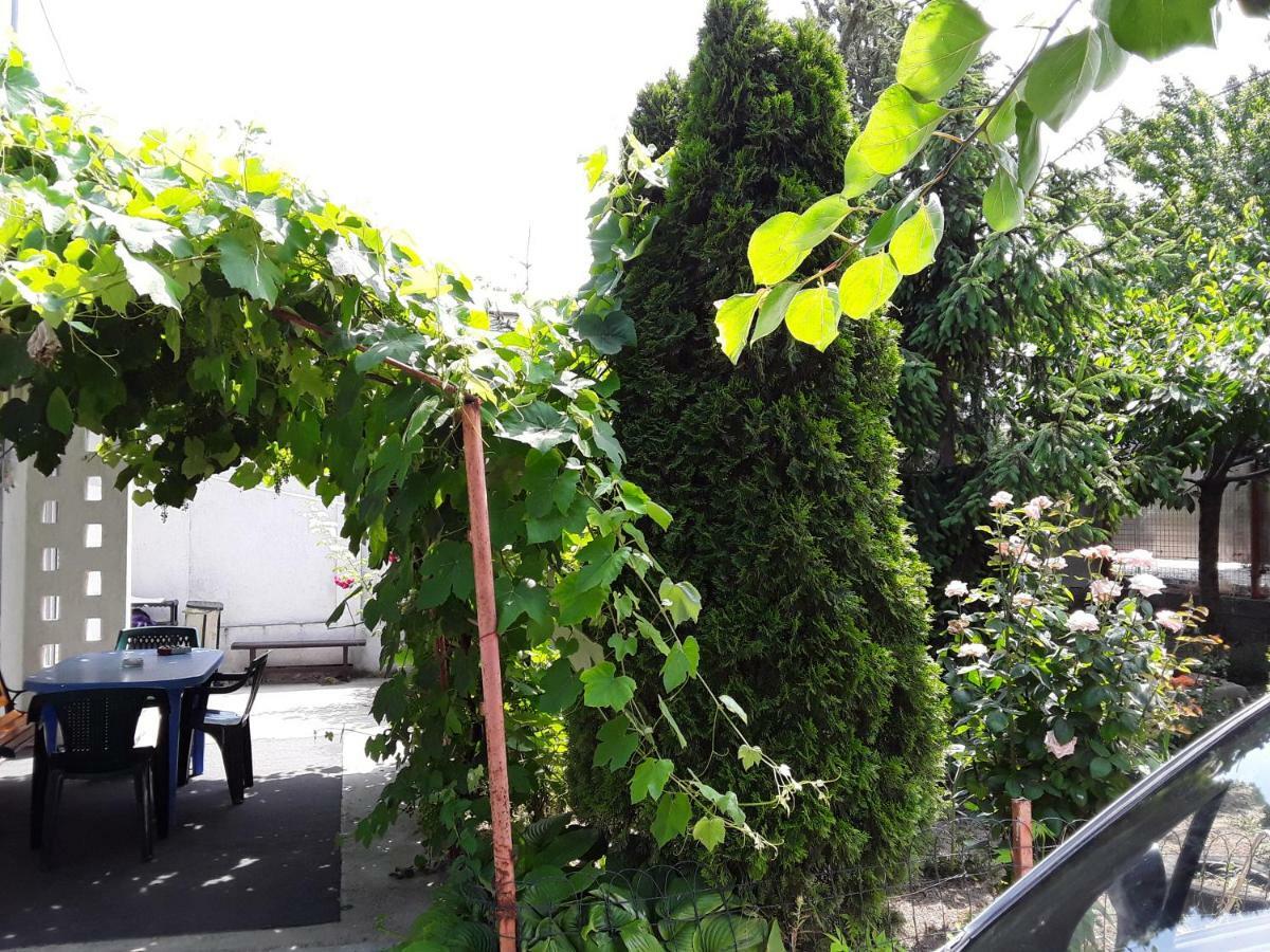 Appartamento Old House Vama Veche Esterno foto